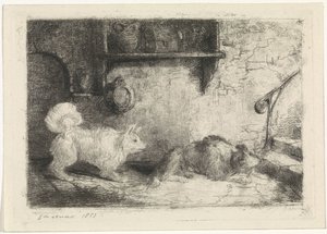 İki köpek