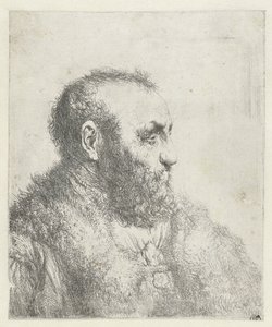 Kürk mantolu yaşlı bir adamın büstü by Jan Lievens