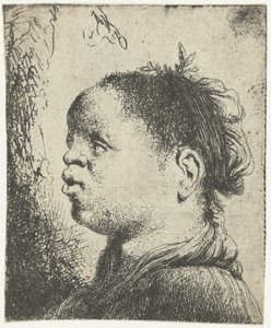 Siyah bir kadının büstü Mağribi bir kadının başı by Jan Lievens