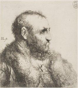 Yaşlı Bir Adamın Büstü by Jan Lievens