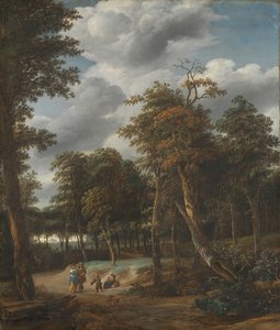 Orman Yolu by Jan Looten
