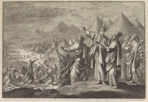 çölde bıldırcın by Jan Luyken