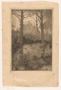 orman kenarı by Jan Mankes