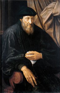 Yaşlı adamın portresi (muhtemelen Andrea Doria) (Andrea Doria veya d