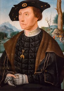 Friesland valisi Leiden Vikontu Jan van Wassenaer