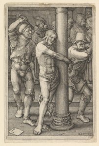 Flaggelation copy.n.d. by Jan Muller