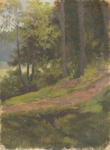 Ormanın Kenarındaki Yol by Jan Nowopacký