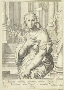zina yapan by Jan Saenredam