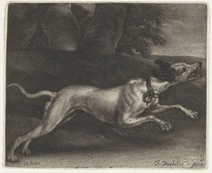 koşan köpek by Jan Verkolje (I)