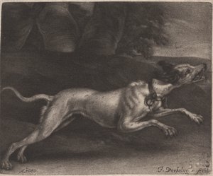 Koşan Köpek