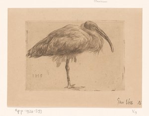 Ibis (nesne üzerindeki orijinal başlık)