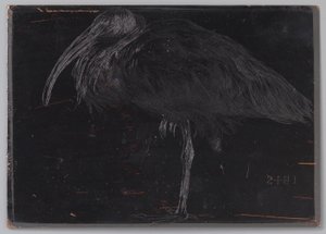 Ibis (nesne üzerindeki orijinal başlık) by Jan Veth