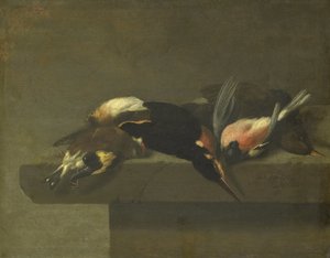 ölü kuşlar by Jan Vonck