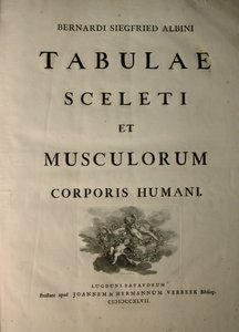 Albinus I, Başlık Sayfası, 'İnsan vücudunun iskelet kasları ve kasları', Bernhard Siegfried Albinus (1697-1770), J.undH. Verbeek, bibliop., Leiden, 1747 by Jan Wandelaar