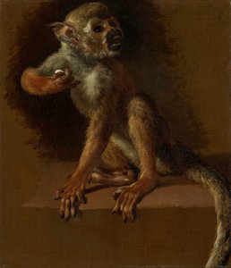 Oturan Maymun by Jan Baptist Weenix