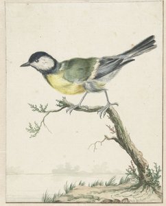 kömür baştankara by Jan Baptist Weenix
