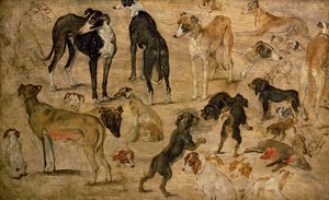 Hounds Çalışması, 1616