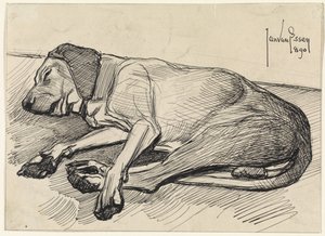 Uyuyan köpek, solda