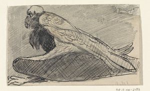 oturan akbaba by Jan van Essen