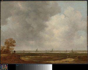 Alçak Çayırlar Olan Bir Nehrin Panoramik Görünümü by Jan van Goyen