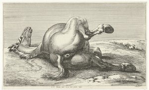 düşmüş at Ölü Atlar (dizi adı) by Jan van Huchtenburg