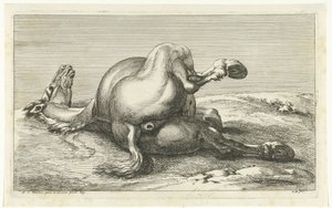 Arkadan görülen ölü at Ölü Atlar (dizi adı) by Jan van Huchtenburg
