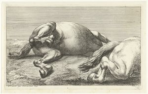 İki düşmüş at, yandan görülen sağdaki Ölü Atlar (dizi adı) by Jan van Huchtenburg