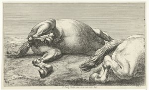 İki düşmüş at, yandan görülen sağdaki Ölü Atlar (dizi adı) by Jan van Huchtenburg