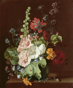 Vazoda Gülhatmi ve Diğer Çiçekler, 1702-20