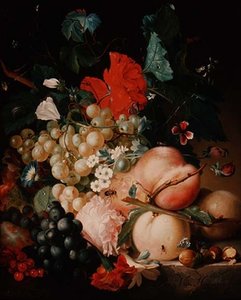 Mermer Kaide Üzerinde Böcekli Karışık Çiçekler ve Meyveler by Jan van Huysum
