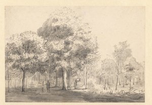 Haarlemmerhout