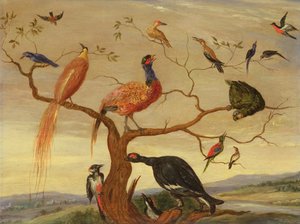 Kuş Konseri (bakır panel üzerine yağlı boya) by Jan van Kessel the Elder