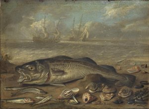  by Jan van Kessel the Elder