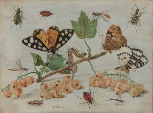 Böcekler ve meyveler. 1660-65 civarında by Jan van Kessel the Elder