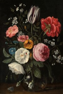  by Jan van Kessel the Elder