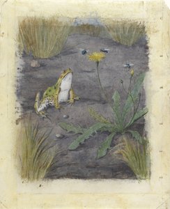 Karahindiba ile Sinekli Kurbağa by Jan van Oort