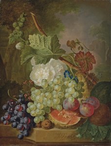  by Jan van Os