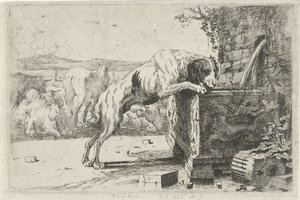 Bir çeşmede köpek Hayvanlar (dizi adı) Zoographiam (dizi adı)