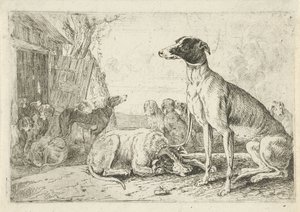 Köpek kulübesi Hayvanlar (dizi adı) Zoographiam (dizi adı)