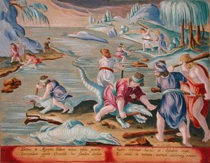 Timsahları Sopa ve Sopa Kullanarak Öldürmek, Jan Collaert (1566-1628) tarafından oyulmuş 'Venationes Ferarum, Avium, Piscium'dan (Avlanma: Yabani Canavarlar, Kuşlar, Balık) levha 88, Amsterdam'dan Phillipus Gallaeus (el renkli gravür)