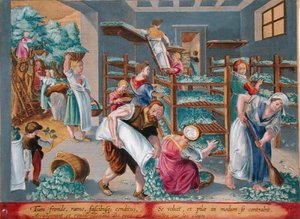 İpekböcekleri için Rafları Dut Yapraklarıyla Astarlayan Kadın, Philip Galle (1537-1612) tarafından oyulmuş 