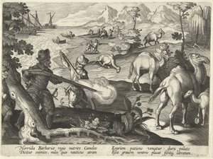 Korkunç bir barbar ülkesindeki denizciler, açlıklarını gidermek için develeri tüfeklerle öldürürler, Jan Collaert (1566-1628) tarafından kazınmış 'Venationes, Ferarum, Avium, Piscium'dan (Avlanma: Yabani Canavarlar, Kuşlar, Balık) örnek. tarafından by Jan van der (1523 1605) Straet