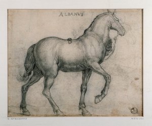 Bir at için çalışma Çizimi Giovanni Stradano (Jan van der Straet) (1523-1605) Floransa, Baskılar ve Çizimler Bölümü, Uffizi (Ofisler) by Jan van der Straet