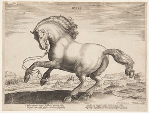 "Equile Joannis Austriaci"nin dördüncü setinden bir Danimarka Atı by Jan van der Straet, called Stradanus