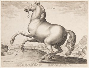 "Equile Joannis Austriaci"nin ilk setinden bir Fransız Atı by Jan van der Straet, called Stradanus