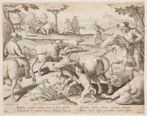 Bufalo Avı, Vahşi, Kuşlar, Balık serisinde 27 numaralı plaka by Jan van der Straet, called Stradanus
