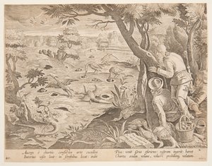 Koniler kullanarak Turna Avı, Wildcats, Birds, Fish serisinde 28 numaralı plaka by Jan van der Straet, called Stradanus