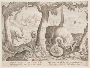 Filler ve Yılanlar arasındaki mücadele, Wildcats, Birds, Fish serisinden 2. plaka by Jan van der Straet, called Stradanus