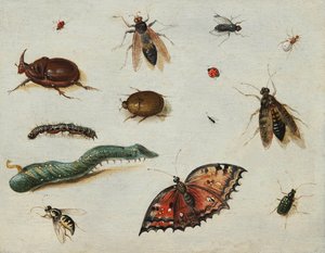 ""Böcekler" (Böcekler) Tablosu Yaşlı Jan Van Kessel (1626-1679) Ahşap üzerine yağlı boya Dim 13x16.5 cm Fondation Vesayet