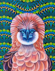 Filipin Kartalı, 2020 by Jane Tattersfield